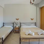 Orange 3*