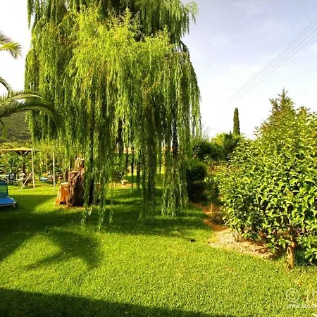 Orange 3* Vasiliki